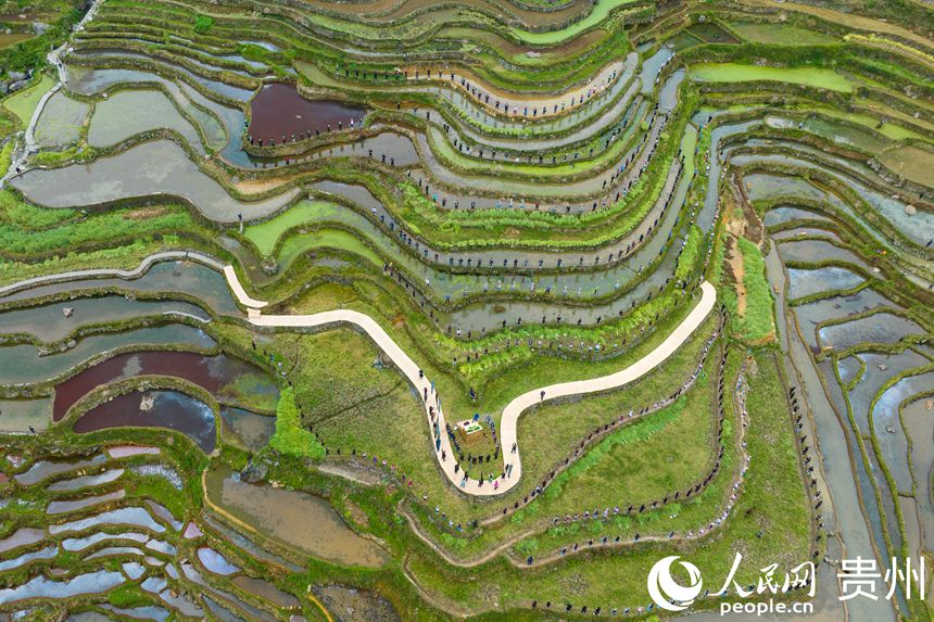 航拍貴州省從江縣加榜梯田。人民網 陽茜攝