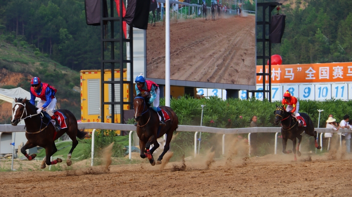 賽馬現場.JPG