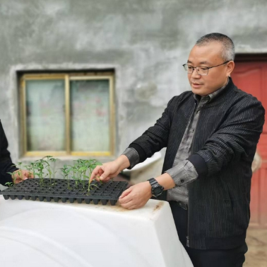 眼下正值辣椒育苗的好時節，走進黔西市蓮城街道坪子社區的貴州省黔沃農業科技有限公司基地內，呈現出一片熱鬧非凡的勞作景象。