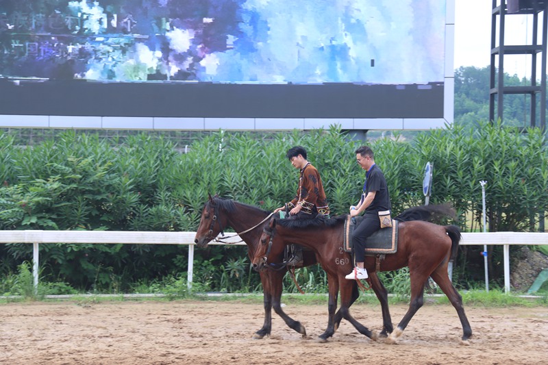 國際青年體驗騎馬現場。
