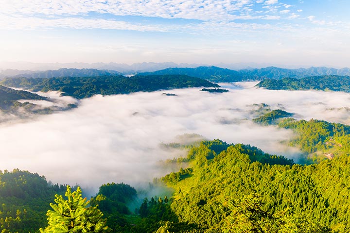 飛鴿云海。王慶攝
