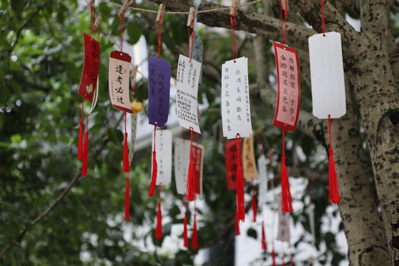 圖為石阡縣第三高級中學校園內布置的高考氛圍。楊文美攝