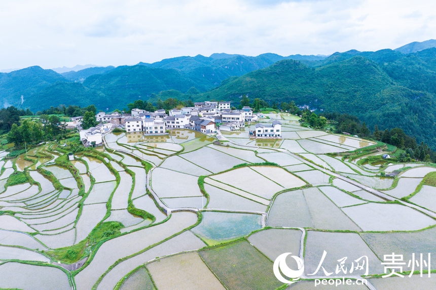 航拍貴陽市花溪區高坡苗族鄉梯田。人民網記者 涂敏攝