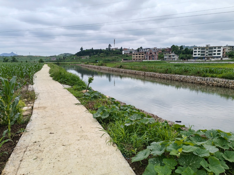 修文縣幸福村：擦亮“幸福旅居”名片 鄉村振興蹄疾步穩.
