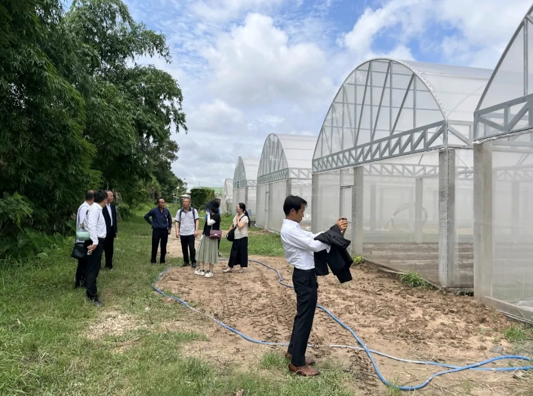 參觀種植大棚基地。