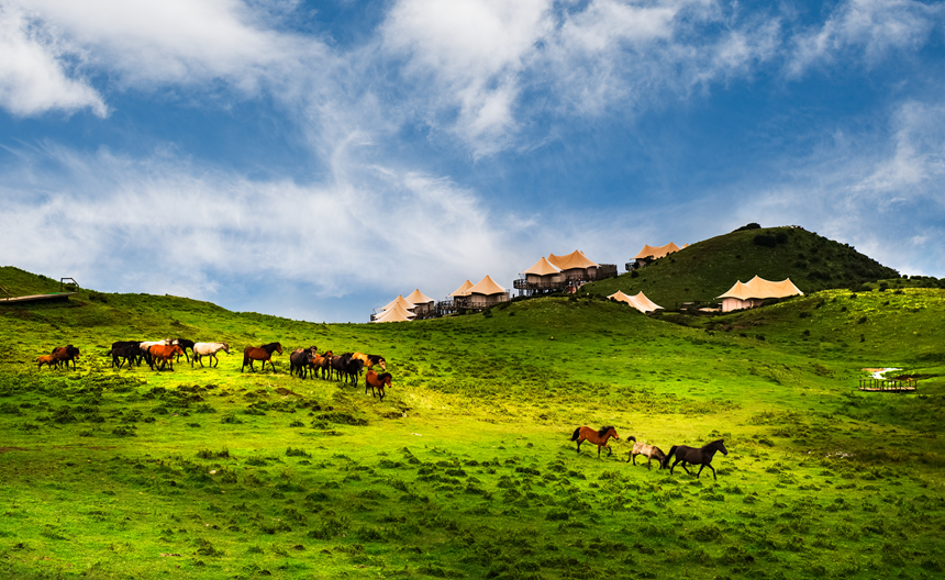 烏蒙大草原。貴州省文化和旅游廳供圖
