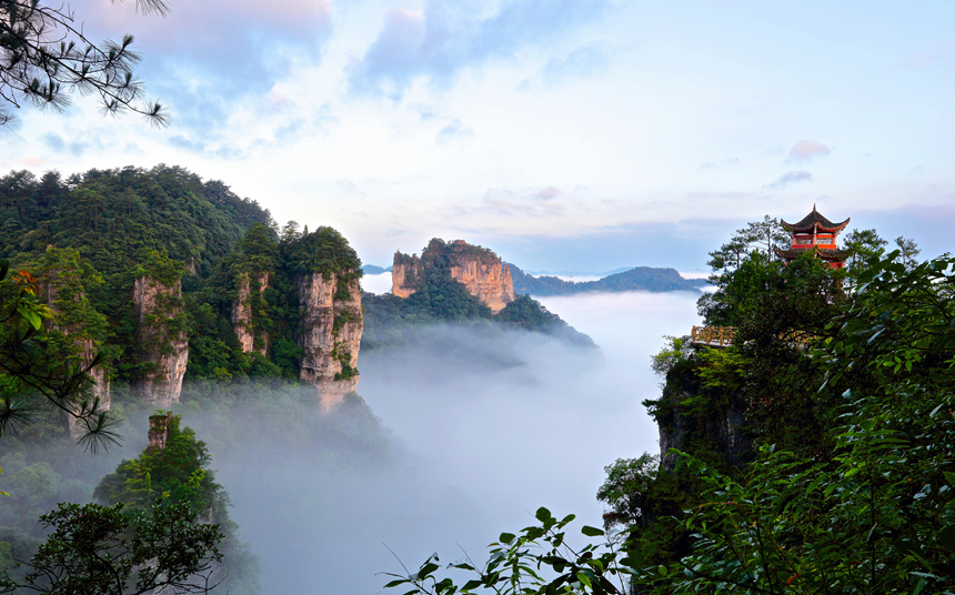 施秉喀斯特——白云巖峰叢峽谷。貴州省林業局供圖