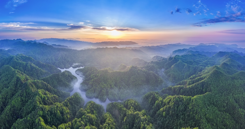 寬闊水·春季林。尹剛攝