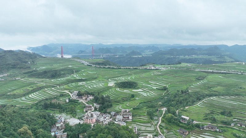 雄偉壯觀的龍里河大橋。