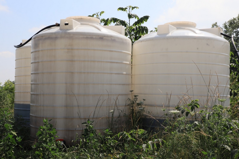 六桶鎮變廢為寶推進種養循環。姜繼恒攝