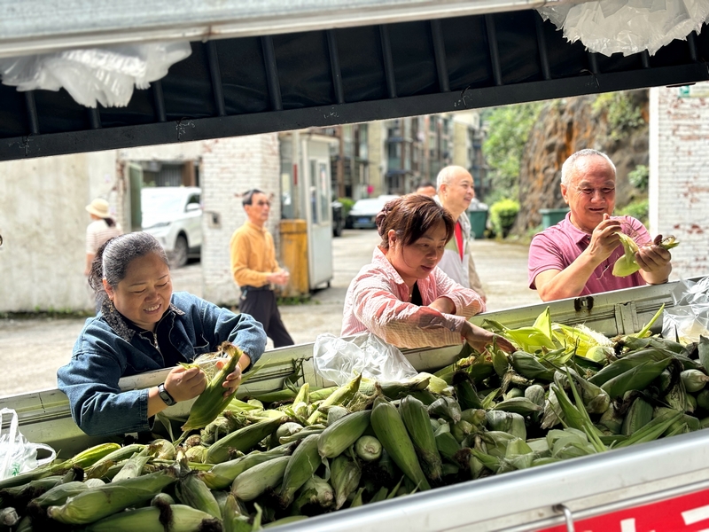 避暑游客們挑選新鮮的玉米。王燁攝