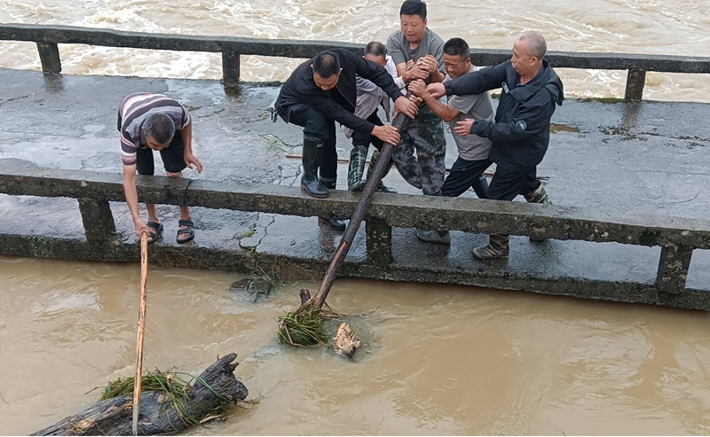 清理河道斷枝。