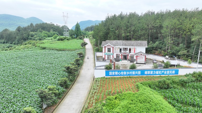 畢節市田壩橋鎮硝灰洞村干凈的道路。