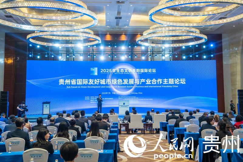 論壇現場。人民網 陽茜攝