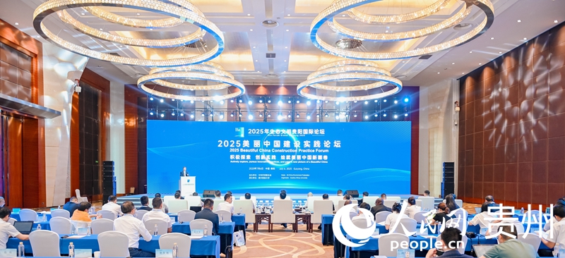 論壇現場。人民網記者 高華攝