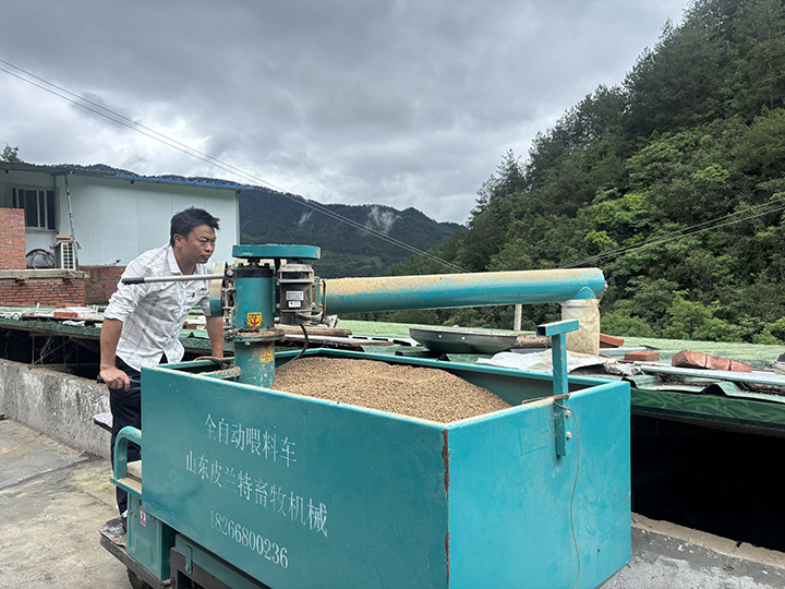工人正在給鴨子喂食。王洪婭攝）