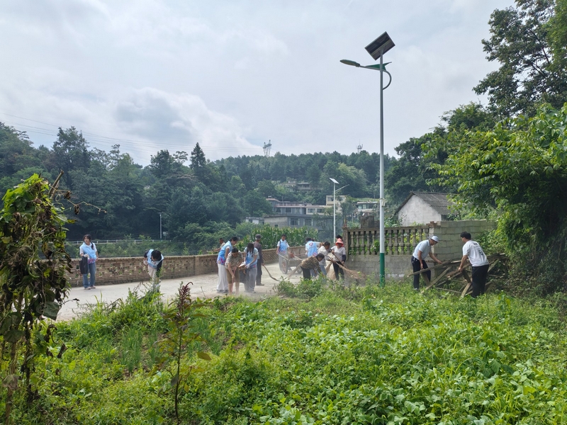 實踐隊師生清掃整改道路沿線與房屋周邊垃圾。
