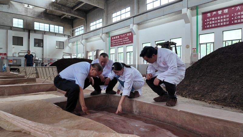 醬科所工作人員到酒企查看制酒。