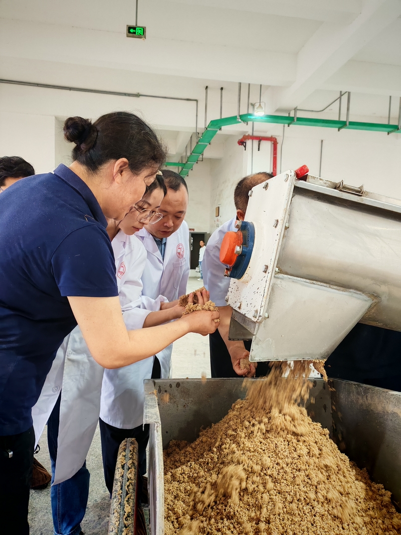 醬科所工作人員到酒企查看制曲。