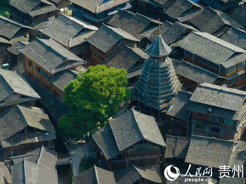 侗寨內，鼓樓矗立在村居中心。人民網 陽茜攝