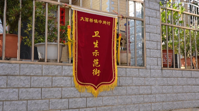 大西橋鎮中所村衛生示范街。