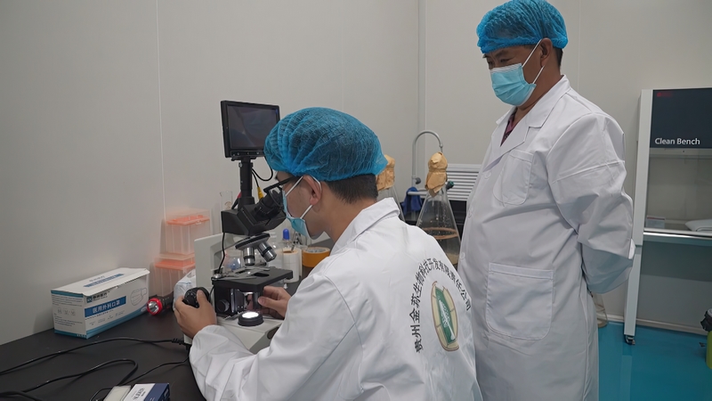 科研人員正在進行實驗。