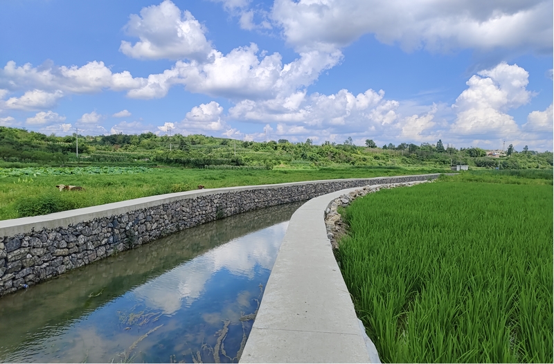 改后的水池、水環境。