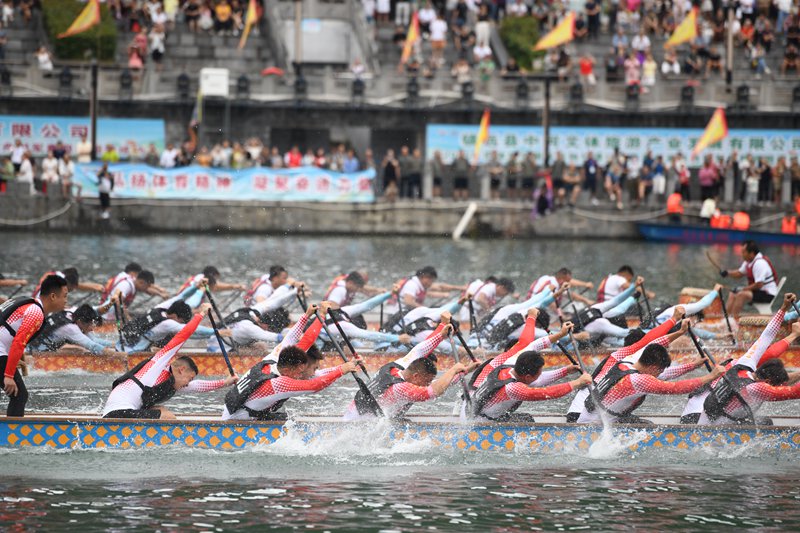 龍舟競渡。江春健攝