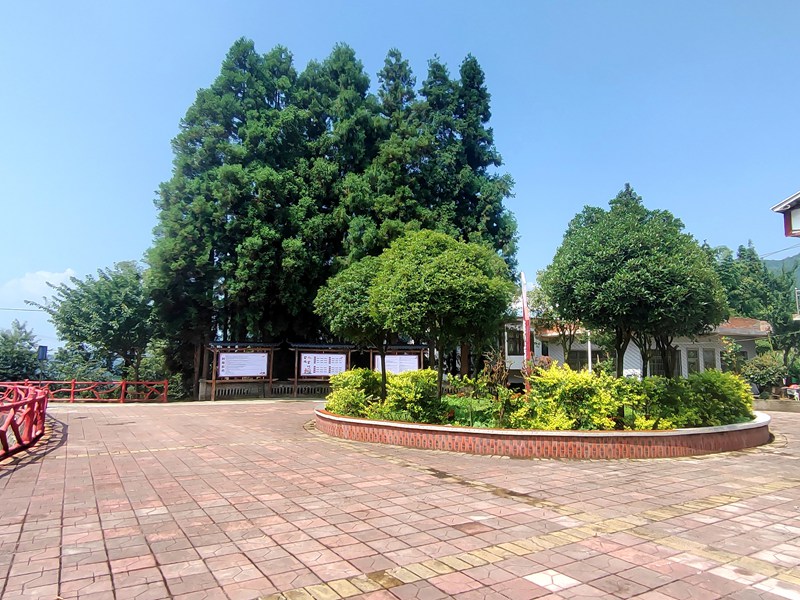 小壩鎮公雞山村廣場干凈整潔。萬飄陽攝