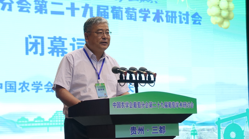 現場作分享交流。