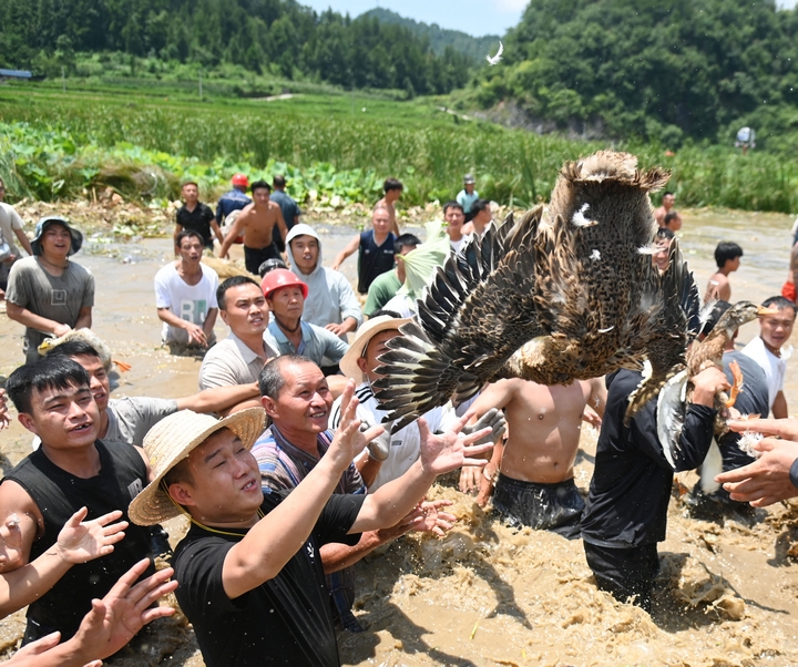 7月30日，松桃苗族自治縣長興堡鎮，游客在搶鴨子。