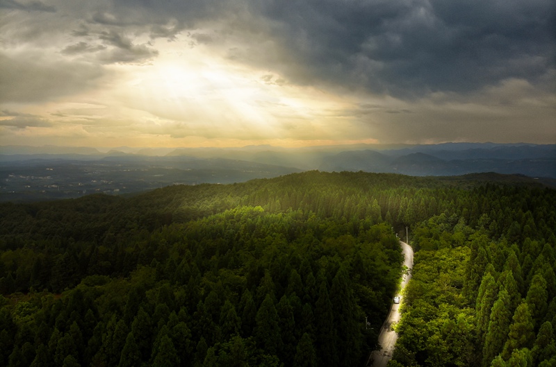 盛夏，七星關區拱攏坪國有林場綠意盎然，景色怡人。文杰攝