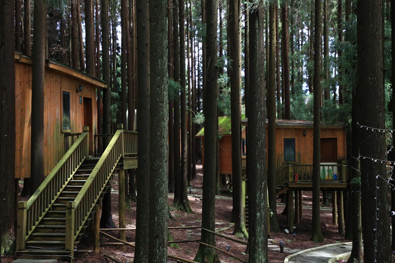 七星關區拱攏坪國有林場森林木屋。邱夢如攝