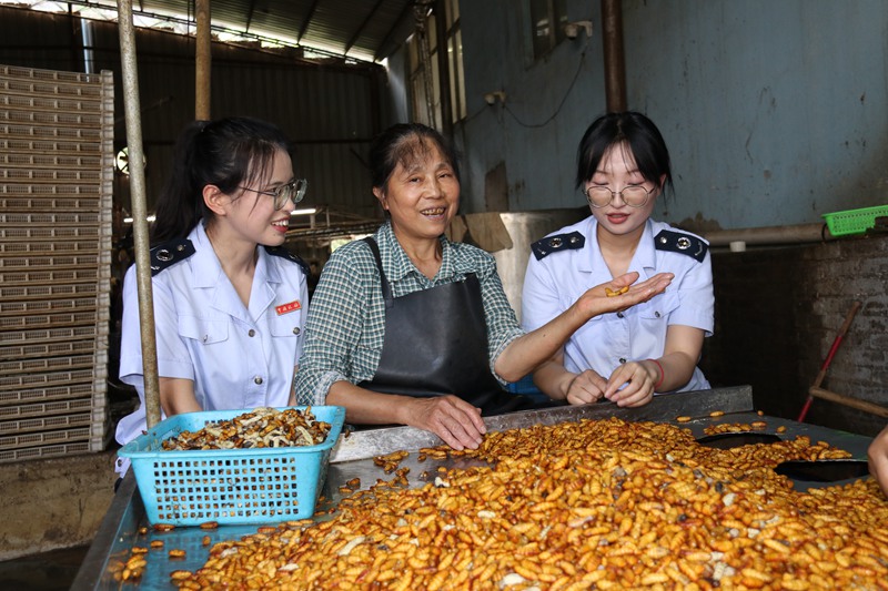 1 畢節市稅務局組織開展“進企業、送政策、解難題”活動。圖為稅務干部到貴州絲路興蠶紡織有限公司走訪調研，查看企業生產經營情況。 鄧萍