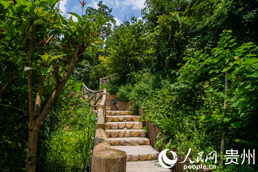 村寨內干凈整潔的街道。人民網 陽茜攝