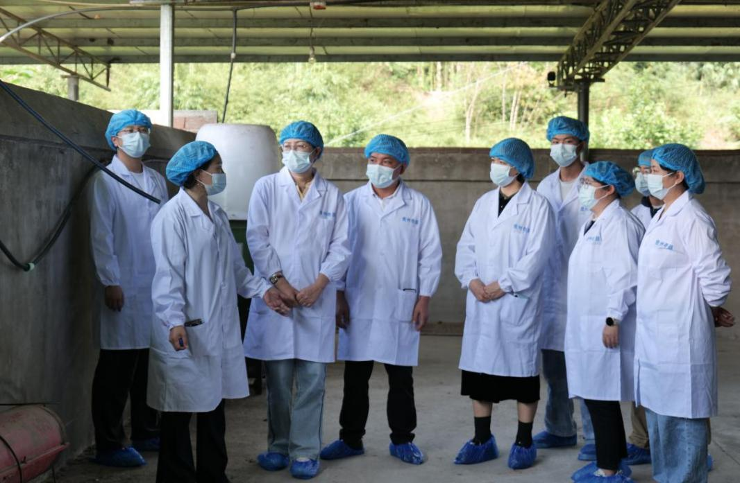 貴州農職院“望、聞、問、切”育新才 禽創先鋒助振興。