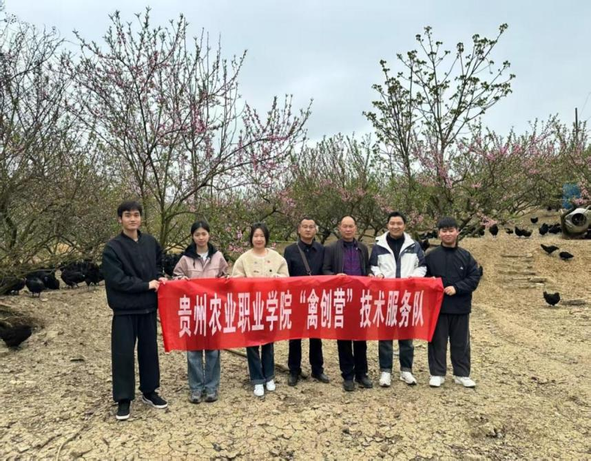 貴州農職院“望、聞、問、切”育新才 禽創先鋒助振興。