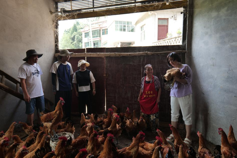 貴州農職院“望、聞、問、切”育新才 禽創先鋒助振興。