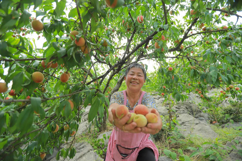 印江深入踐行“兩山論”鋪就綠色發展坦途。