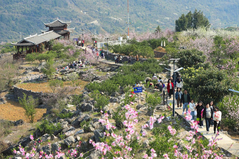 印江深入踐行“兩山論”鋪就綠色發展坦途。