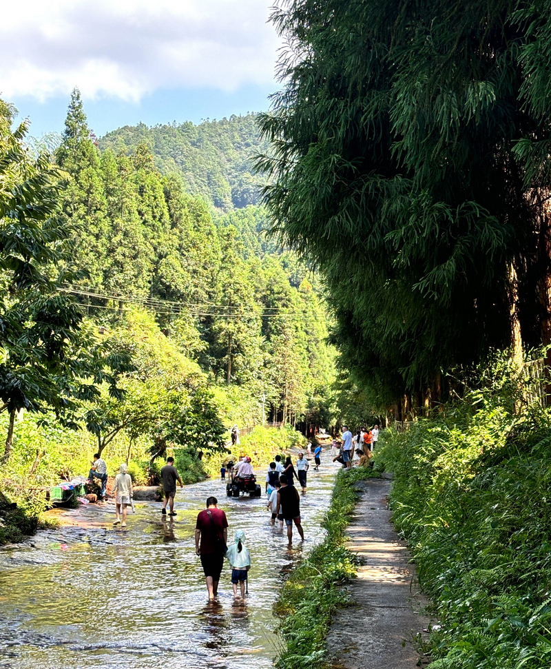飛鴿 “水上公路”，游客戲水納涼好熱鬧。江勇攝