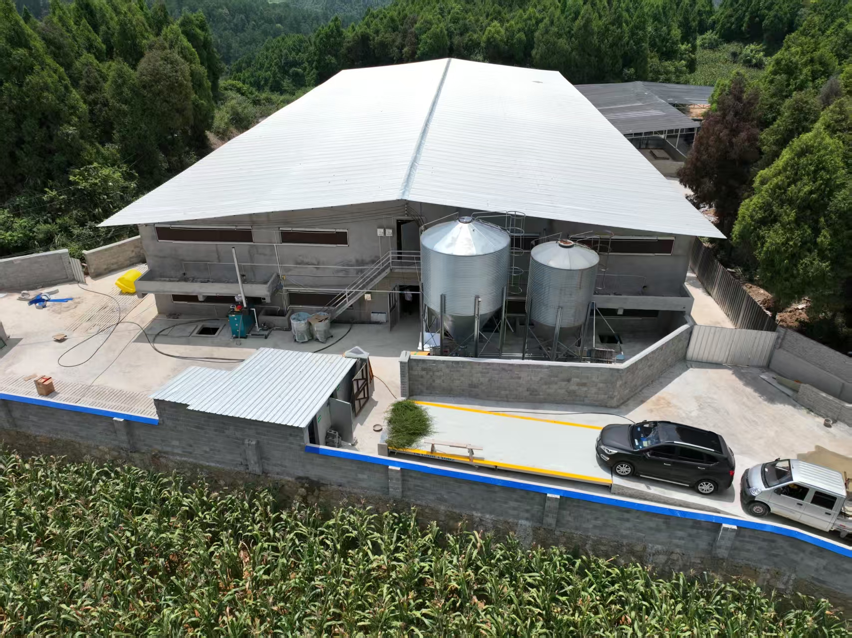 開陽融合種養殖農民專業合作社生豬養殖區。