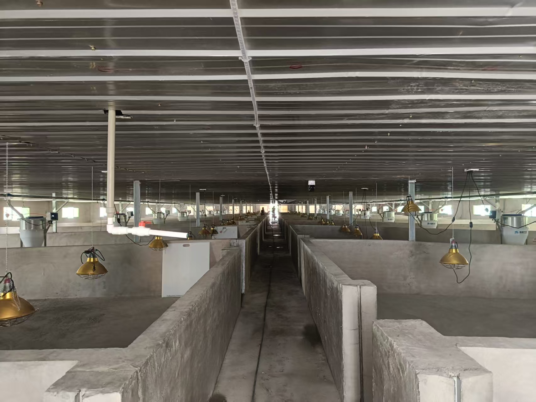 配備自動投料系統、自動控溫系統、自動清糞系統及智能監控系統的標準化圈舍