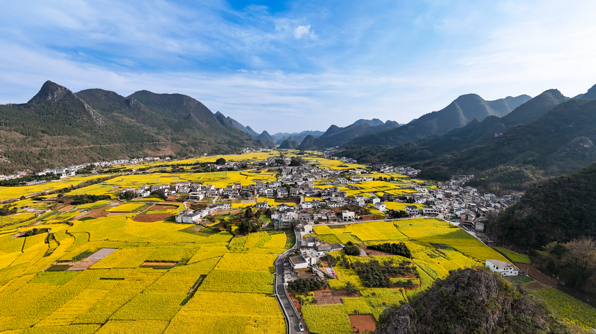 鳥瞰萬峰林花海。帥家明攝