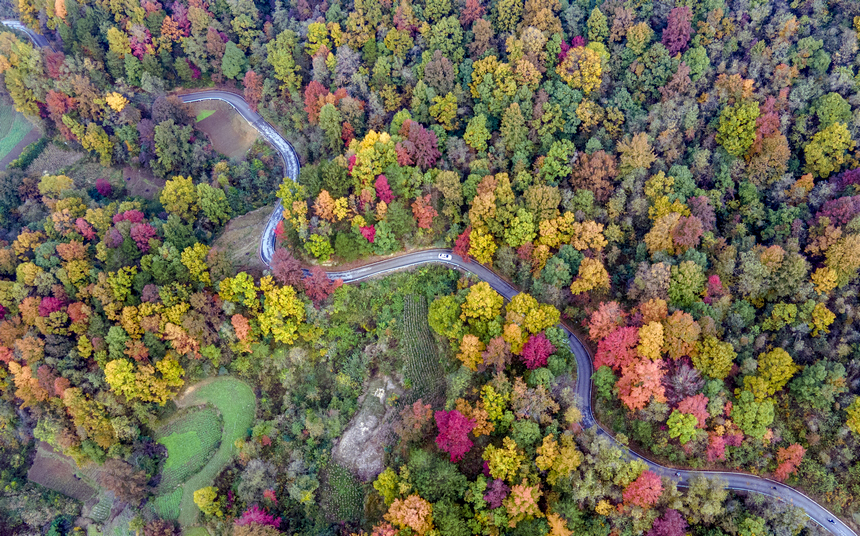 層林盡染。李良勇攝