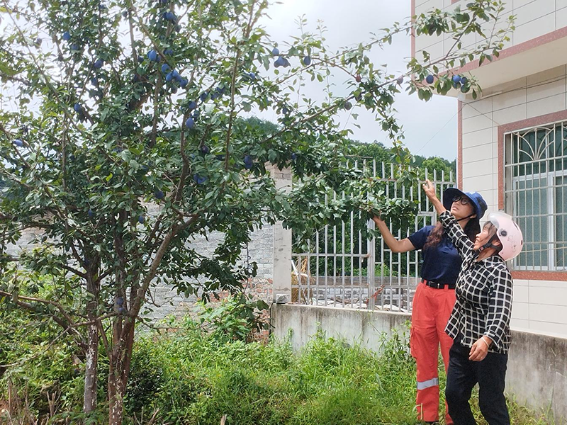 幫助農戶銷售農產品。