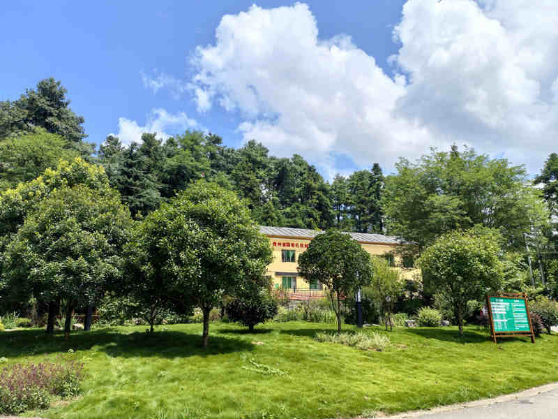 “貴州森林·壹號眠宿”一角。李云攝