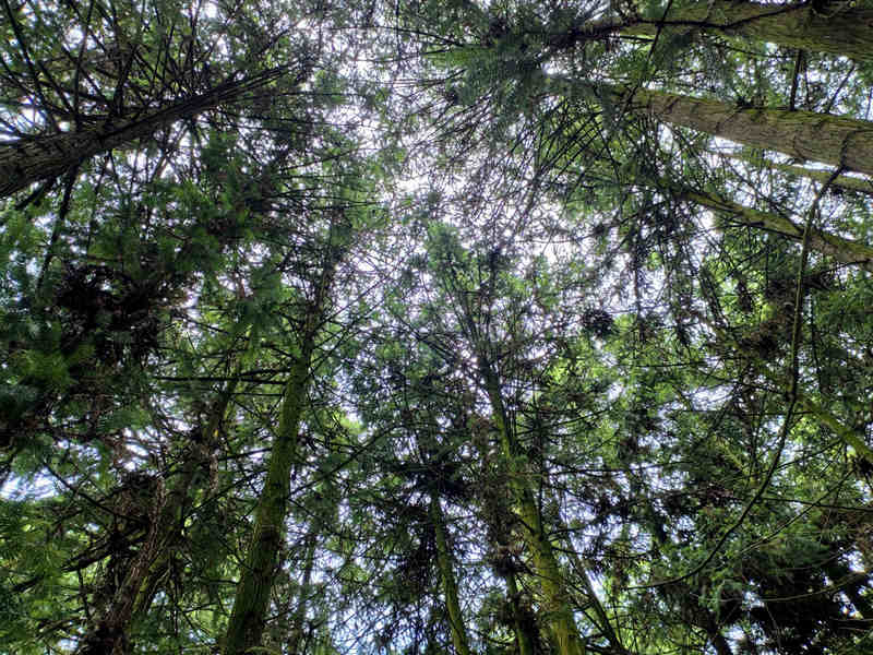 省國有扎佐林場六屯分場一角。姜繼恒攝