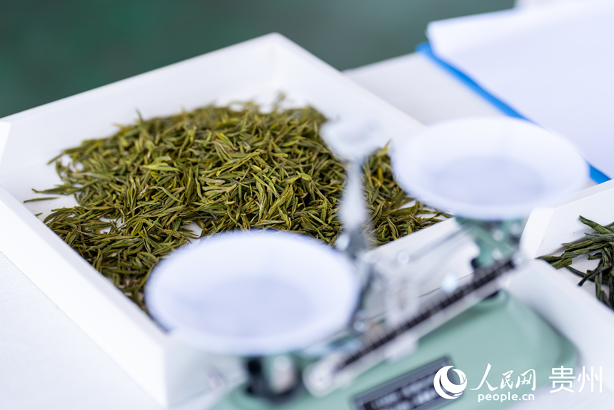 評茶師比賽所用的茶。人民網記者 涂敏攝