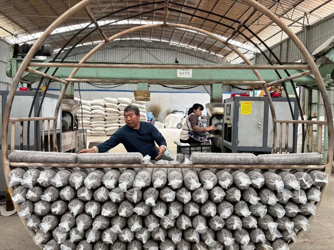 久場村發展菌棒產業。